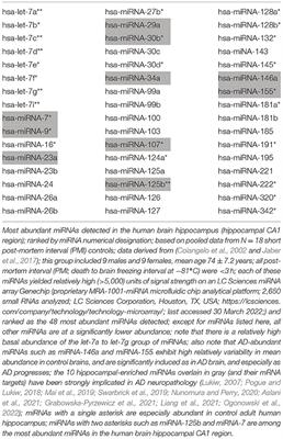 Fission Impossible: Stabilized miRNA-Based Analogs in Neurodegenerative Disease